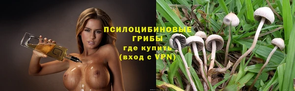 спайс Медвежьегорск