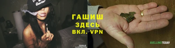 молекула духа Михайлов