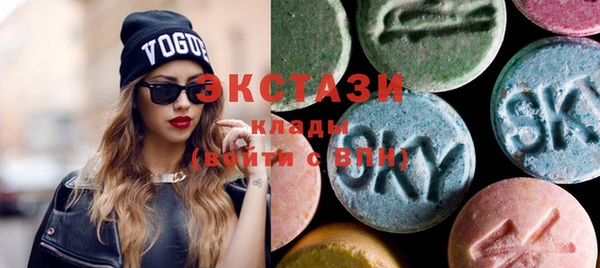 винт Бикин