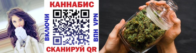 как найти наркотики  Злынка  Канабис марихуана 